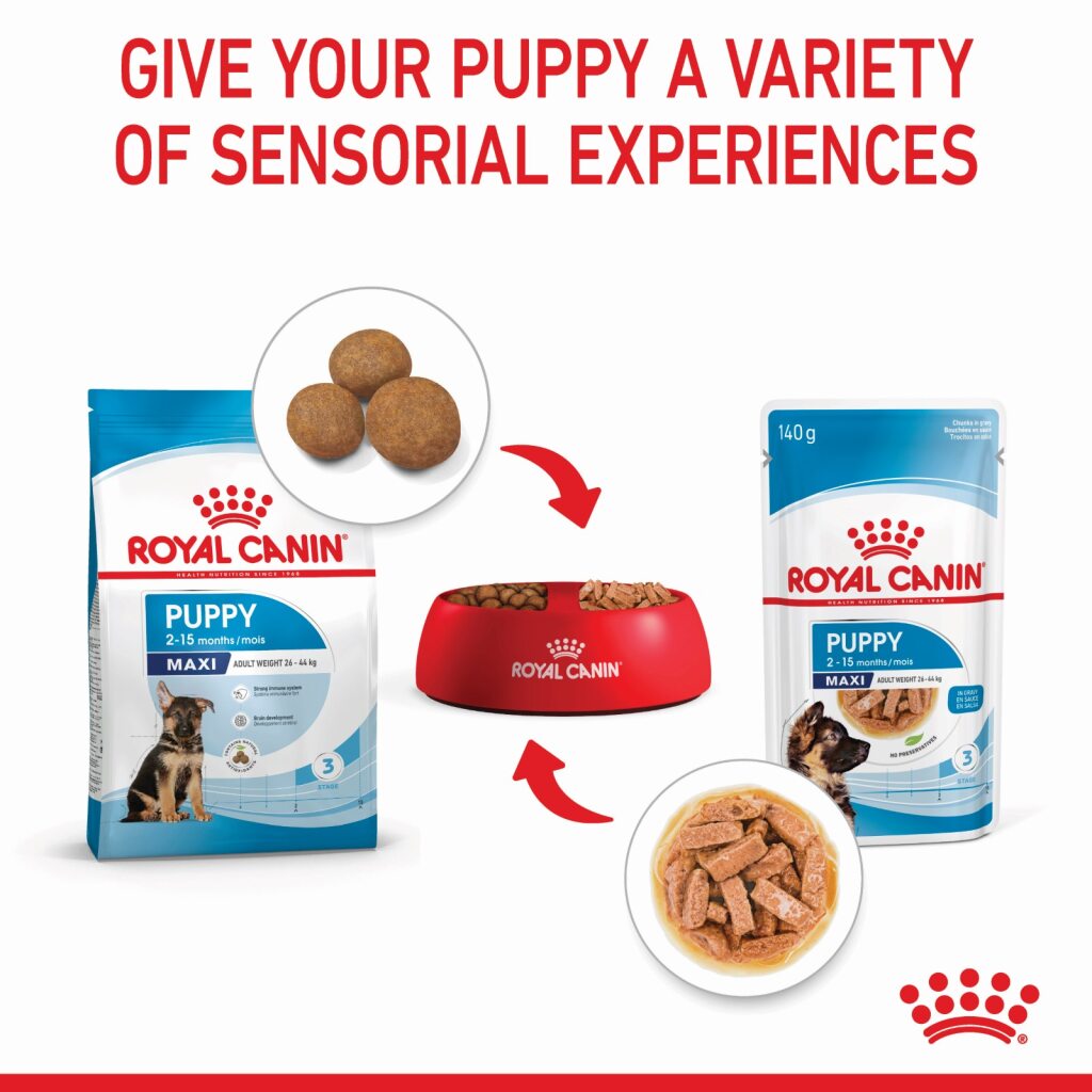 Royal Canin Maxi Puppy Wet Food 140g