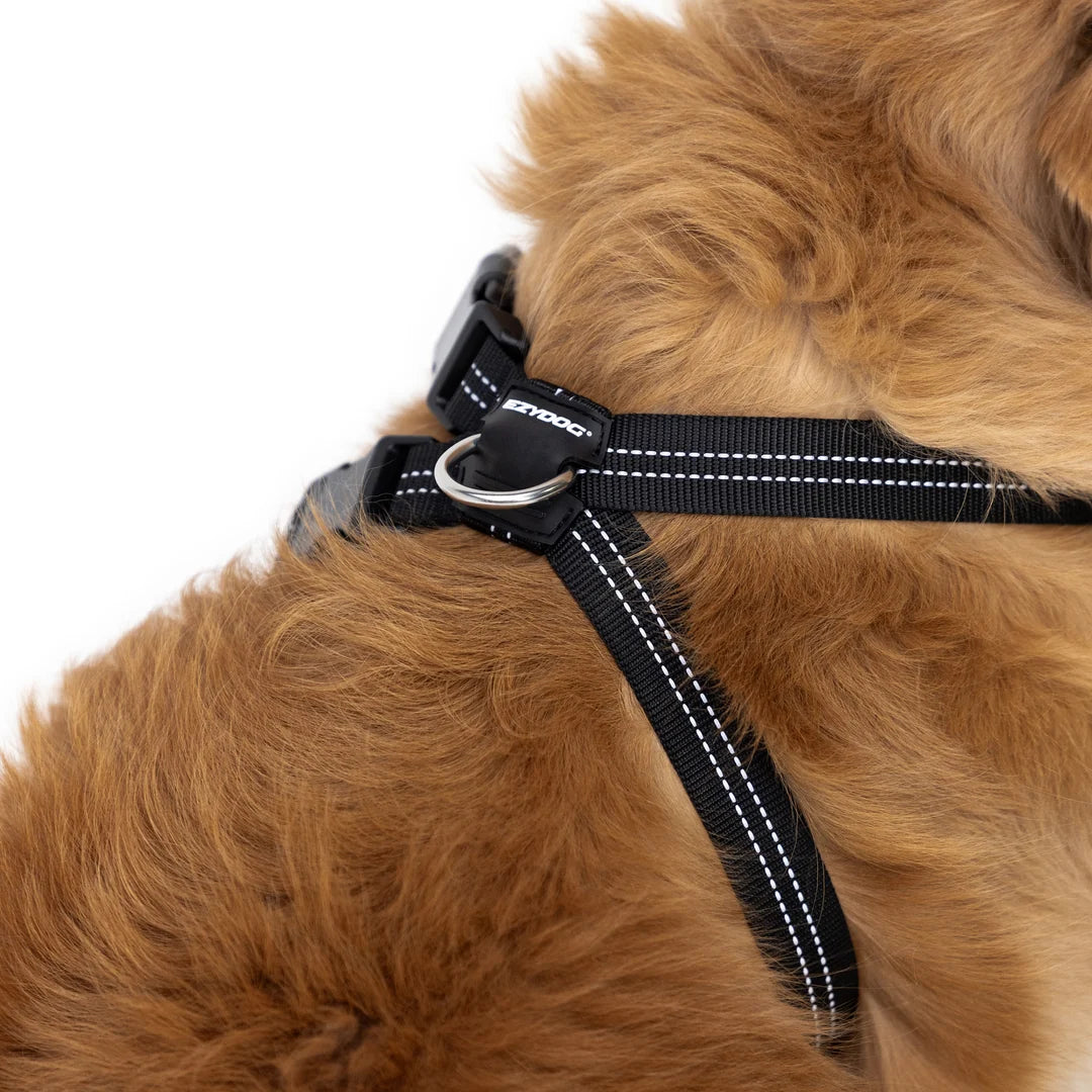 EzyDog Chest Plate Harness Purple Large