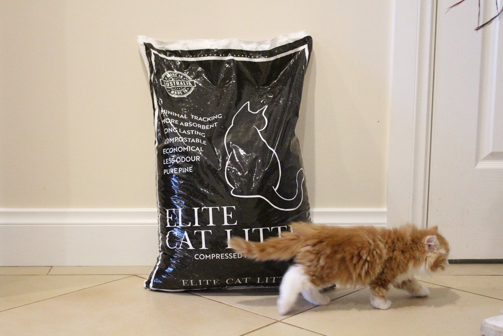 Elite Cat Litter 15kg