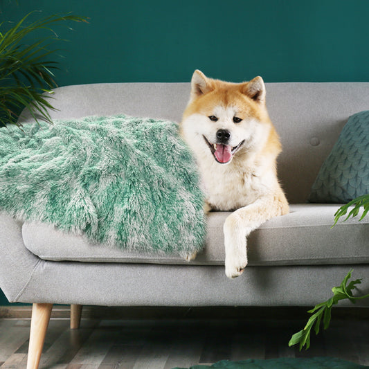 PaWz Dog Blanket Pet Cat Mat Puppy Warm Teal-1975420458325118982
