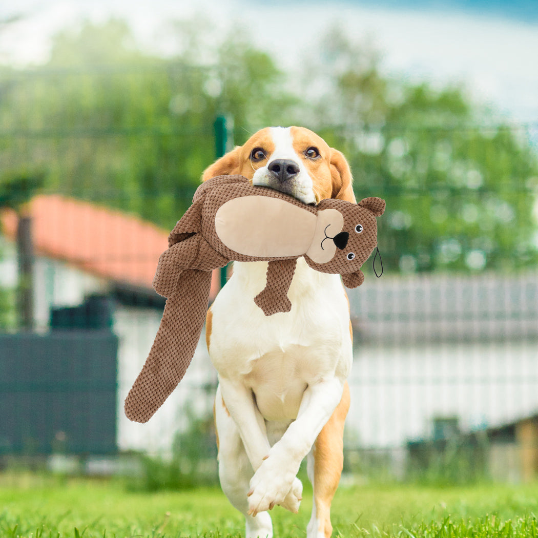 PaWz Dog Chew Toys Squeaky Puppy Pet-1973194202602934279