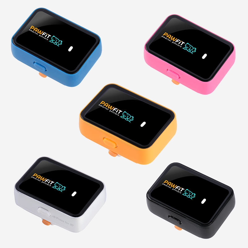 Pawfit 3 Case Orange-1869883043167211520