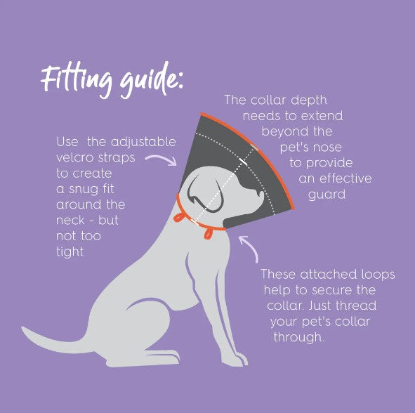 Recovery Collar