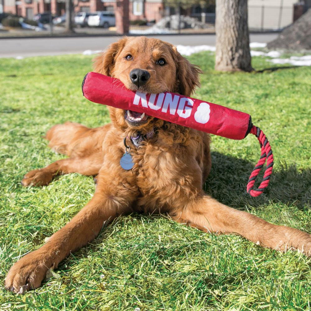 KONG Signature Stick W/Rope MEDIUM