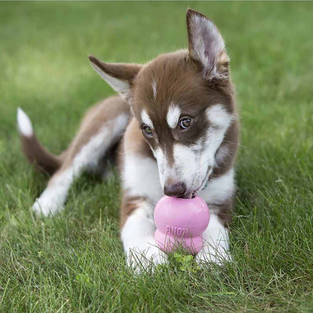KONG Easy Treat Puppy 226g