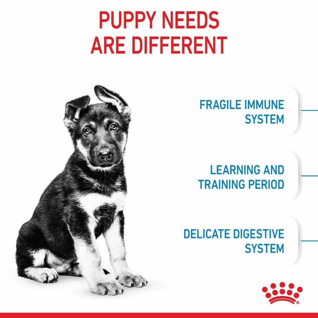 Royal Canin Dog Maxi Puppy