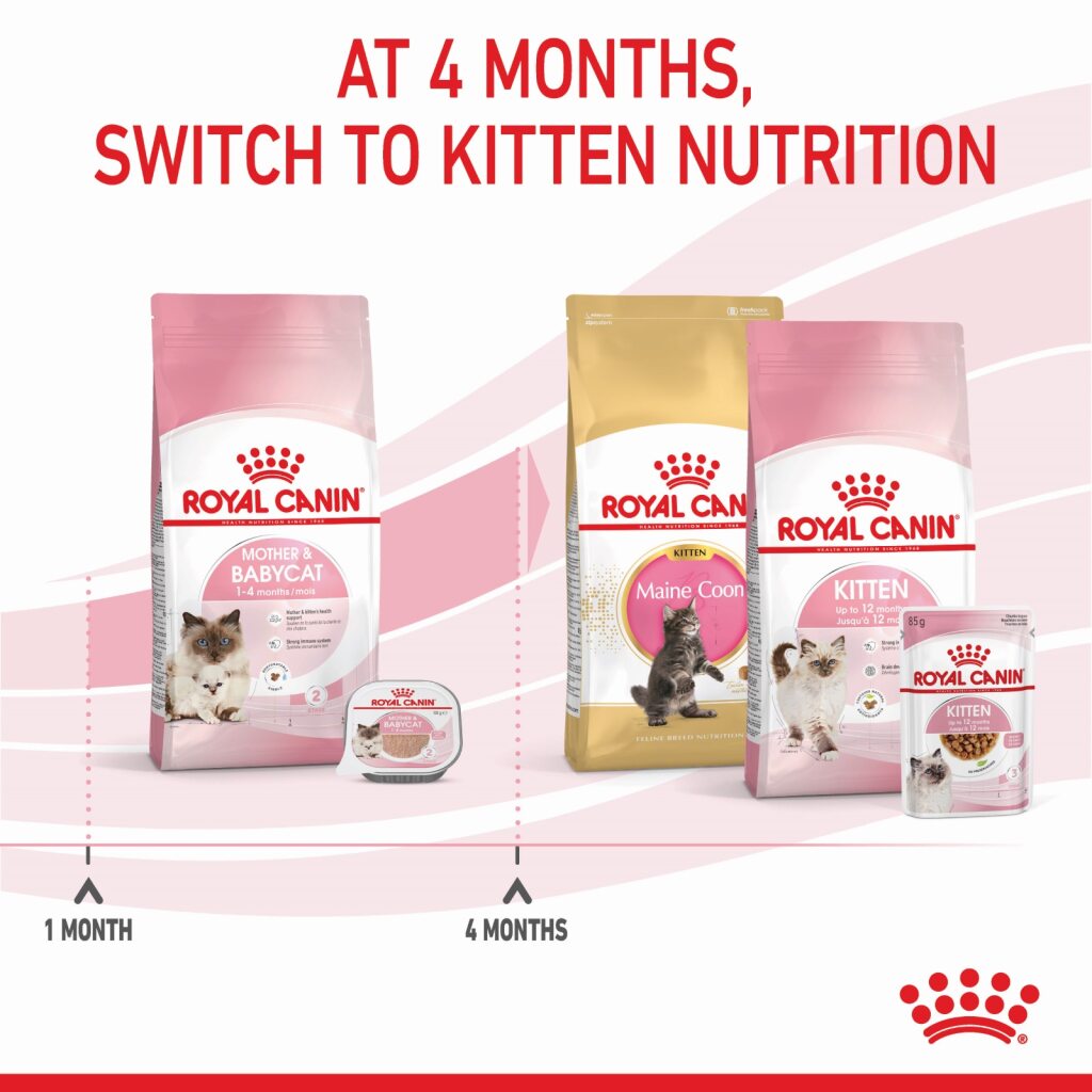 Royal Canin Feline Mother Baby 2 kg