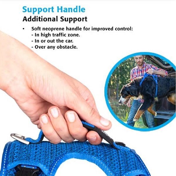 Explore Dog Harness Blue EXTRA LARGE