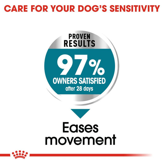 Royal Canin Dog Maxi Joint Care 10kg