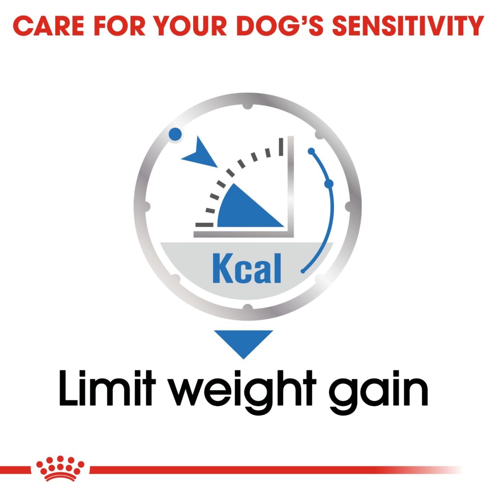 Royal Canin Canine Light Wet Food 85g