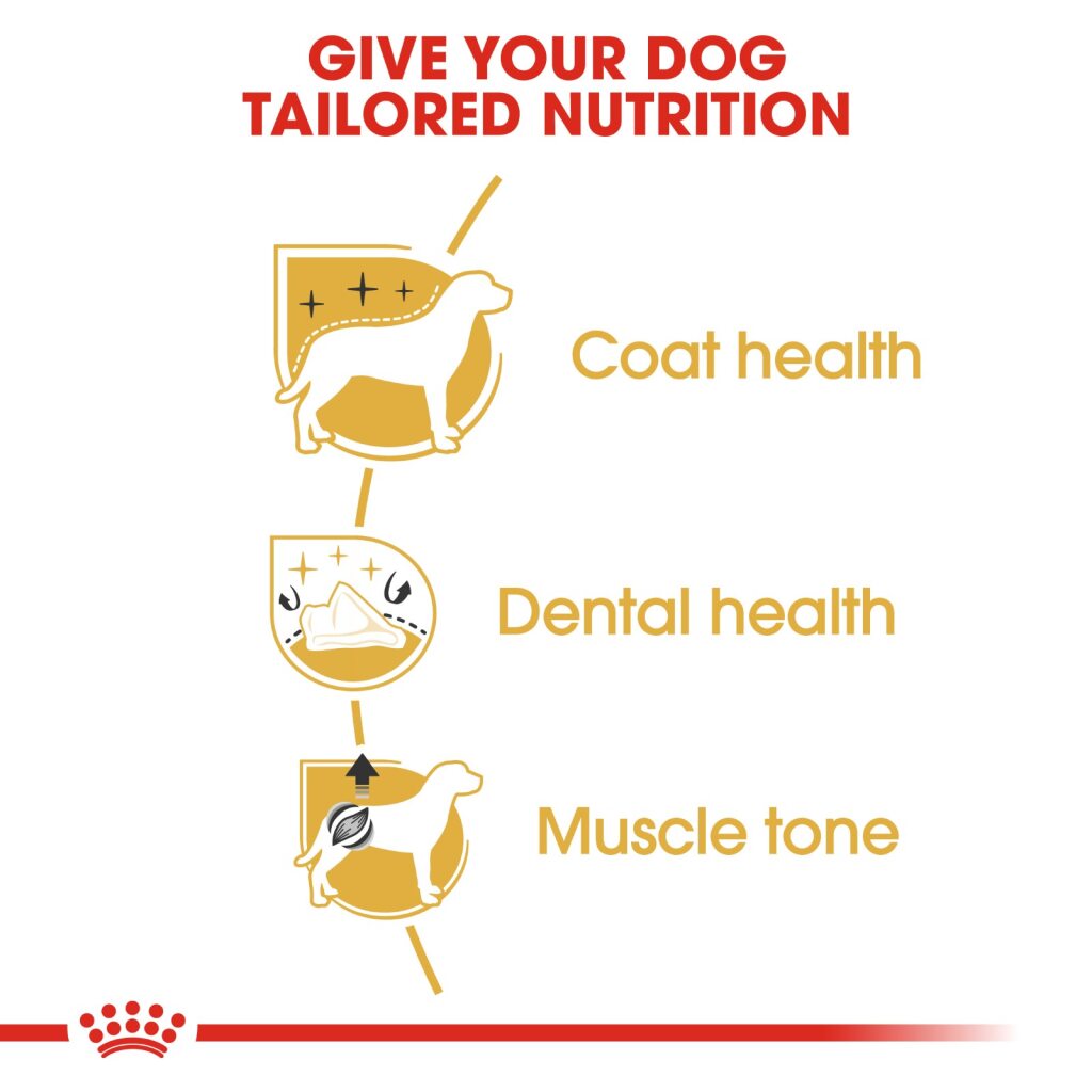 Royal Canin Dog Poodle 1.5kg