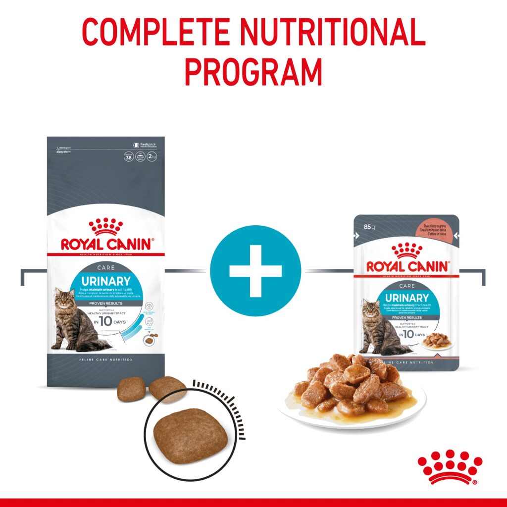 Royal Canin Feline Urinary Care
