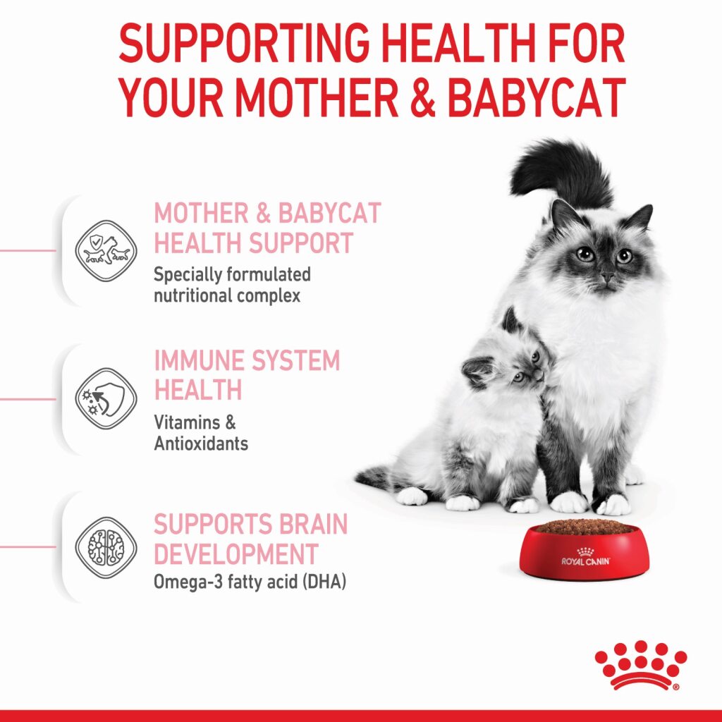 Royal Canin Feline Mother Baby 2 kg