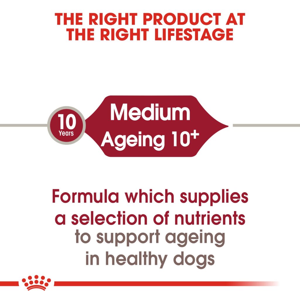 Royal Canin Dog Medium Ageing 10+ - 15kg