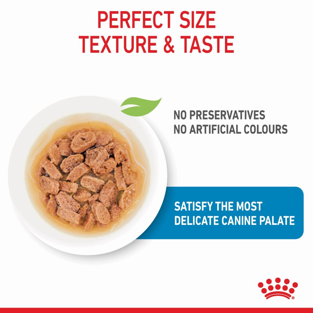 Royal Canin Mini Puppy Wet Food 85g