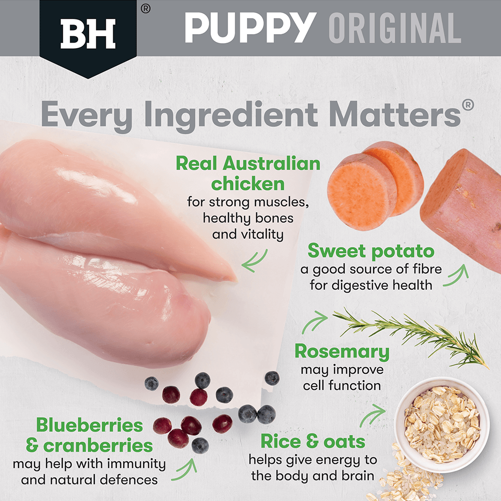 Black Hawk Puppy Med Breed Chicken & Rice