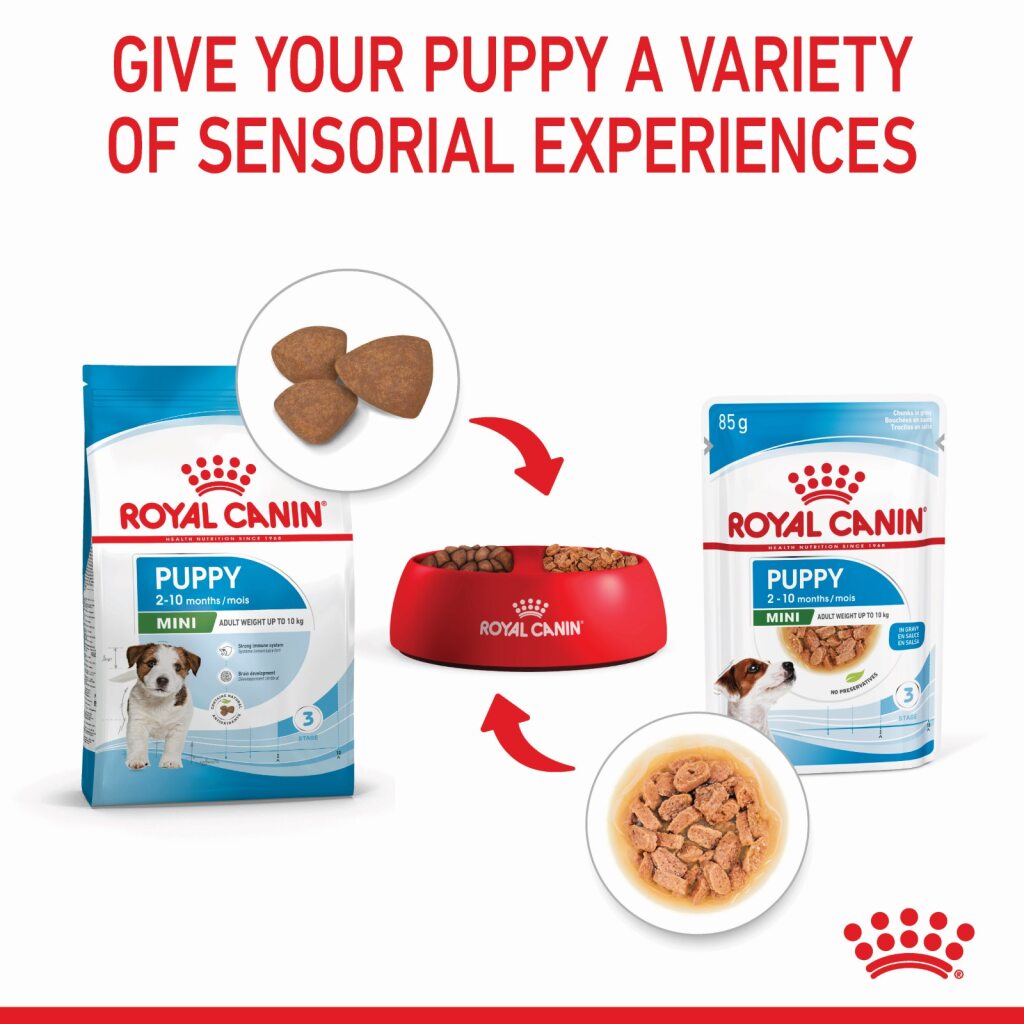 Royal Canin Mini Puppy Wet Food 85g