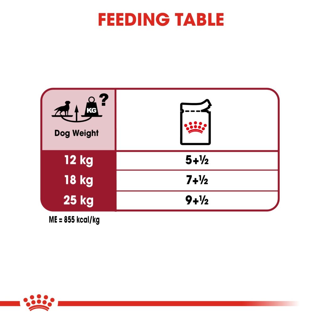Royal Canin Medium Adult Wet Food 140g