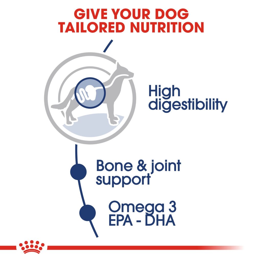 Royal Canin Maxi Adult Wet Food 140g