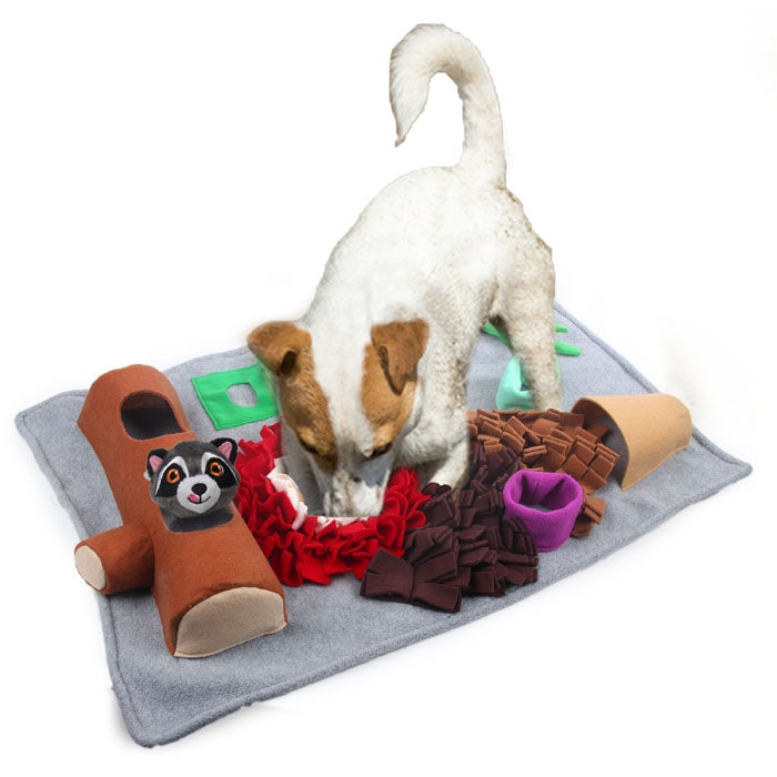 Dig It Play & Treat Mat Raccoon