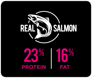 A La Carte Premium Dog Salmon & Potato Low Grain 3kg