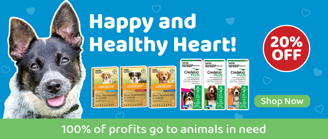 RSPCA World for Pets: Buy Your Pet Supplies Online - 100% Of Profits Go To Animals In Need RSPCA World for Pets: Buy Your Pet Supplies Online - 100% Of Profits Go To Animals In Need