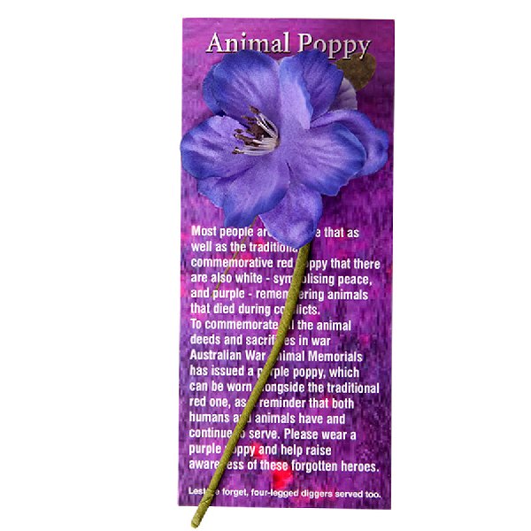 RSPCA World for Pets: Buy Your Pet Supplies Online - 100% Of Profits Go To Animals In Need RSPCA World for Pets: Buy Your Pet Supplies Online - 100% Of Profits Go To Animals In Need