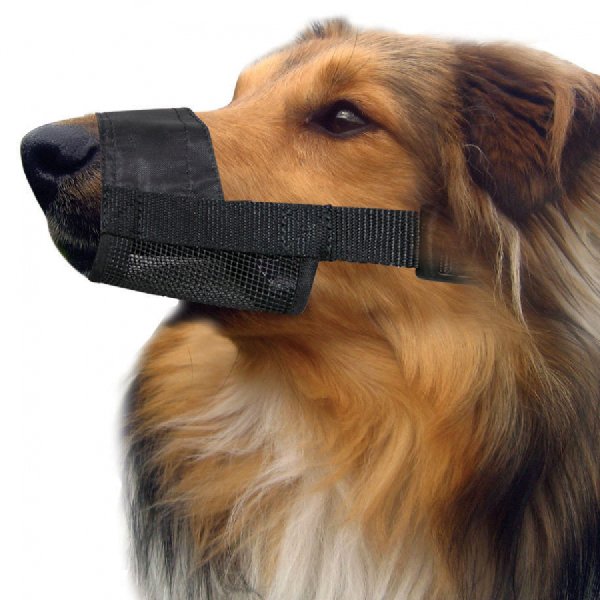 Rspca muzzle sale