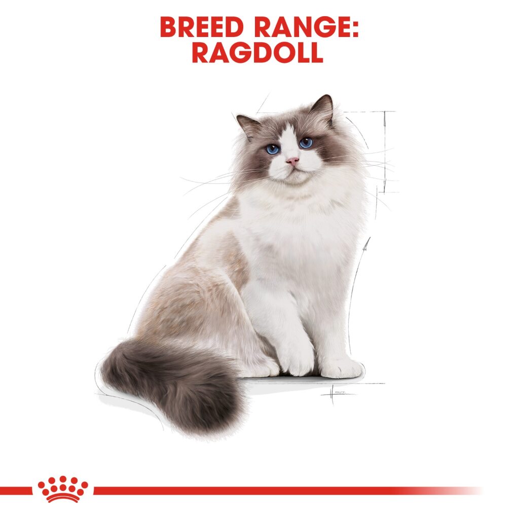 Royal Canin Feline Ragdoll