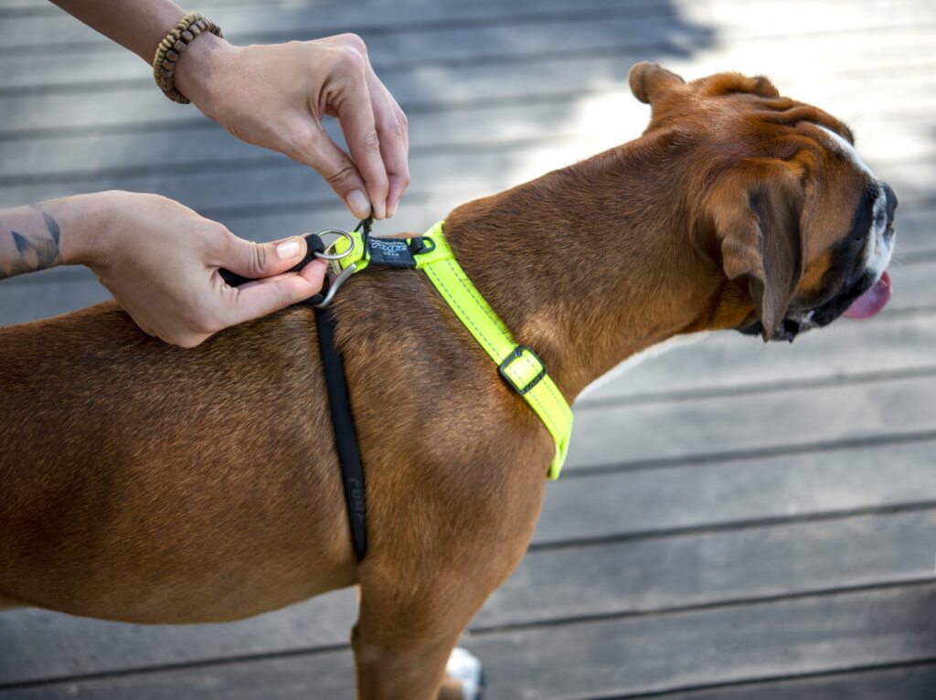Rogz Control Stop Pull Harness Blue
