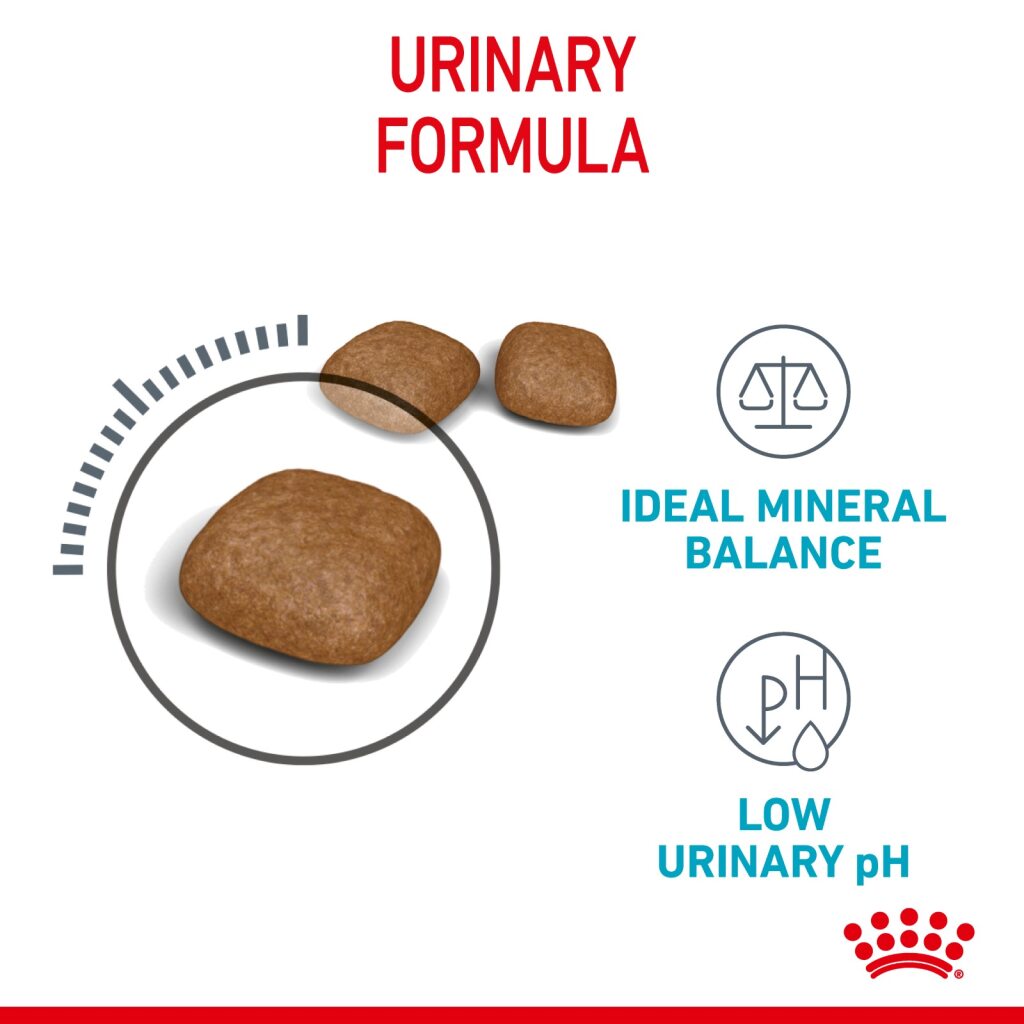 Royal Canin Feline Urinary Care