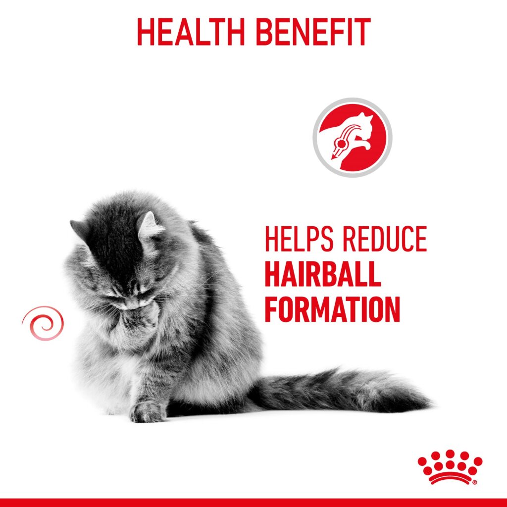 Royal Canin Feline Hairball Care 85g