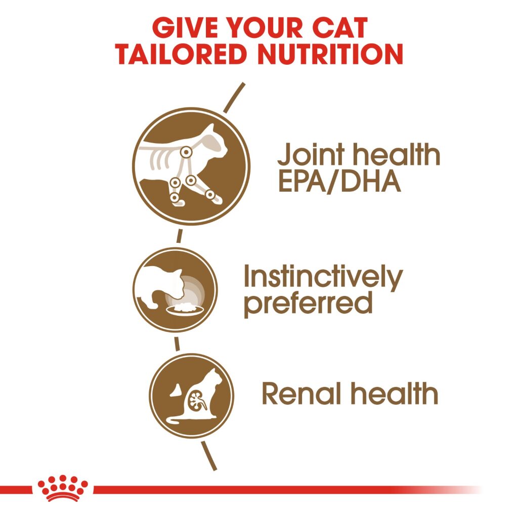 Royal Canin Feline Ageing +12 Gravy 85g