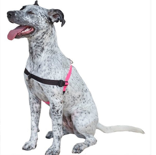 Comfort Stability Training Harness Pink