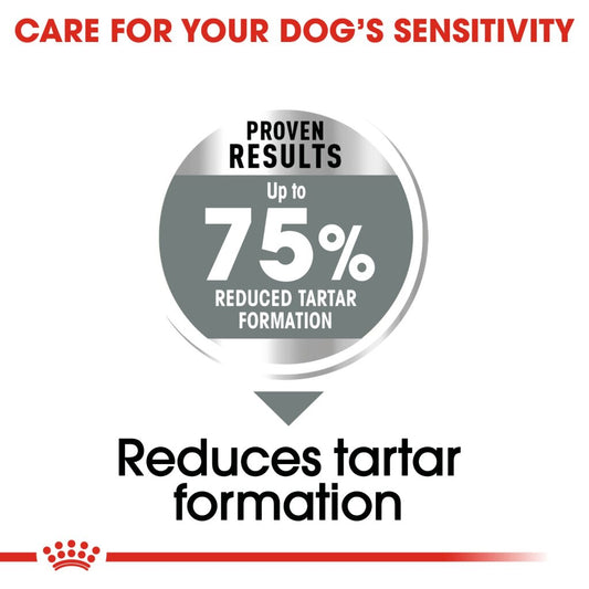 Royal Canin Dog Maxi Dental Care 9kg