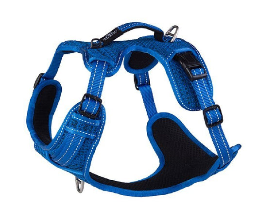 Explore Dog Harness Blue  LARGE