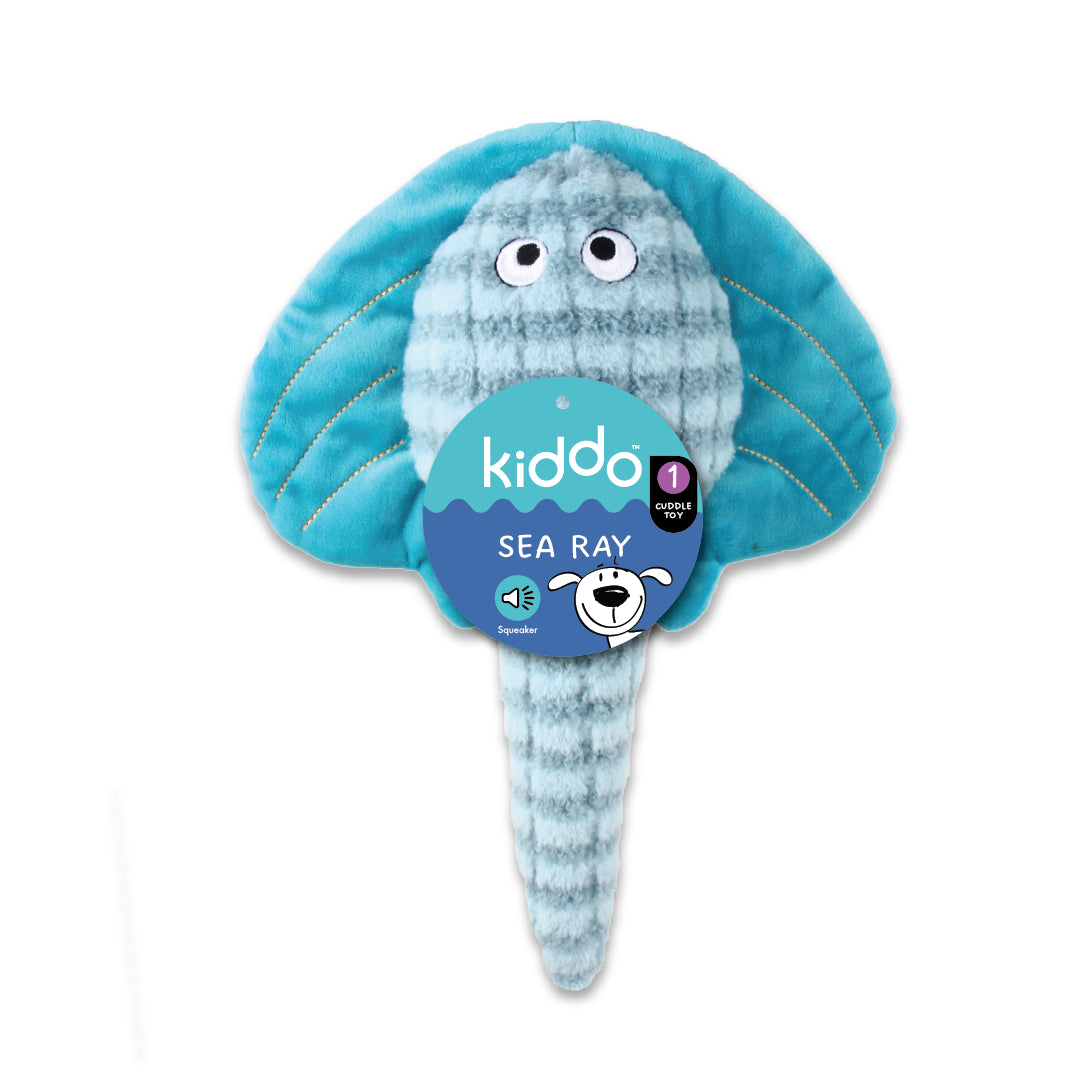 Kiddo - Sea Ray