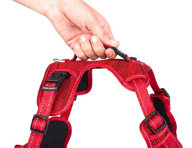 Explore Dog Harness Red  MEDIUM
