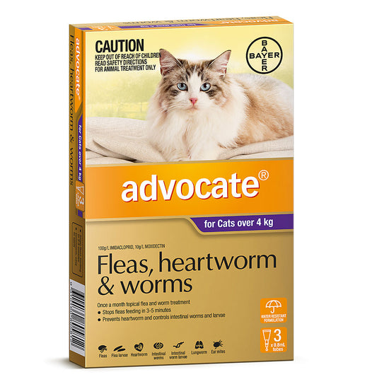 Advocate Cats Over 4 Kg Purple