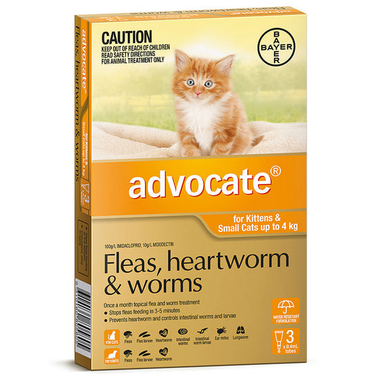 Advocate Cats Up to 4 kg Orange