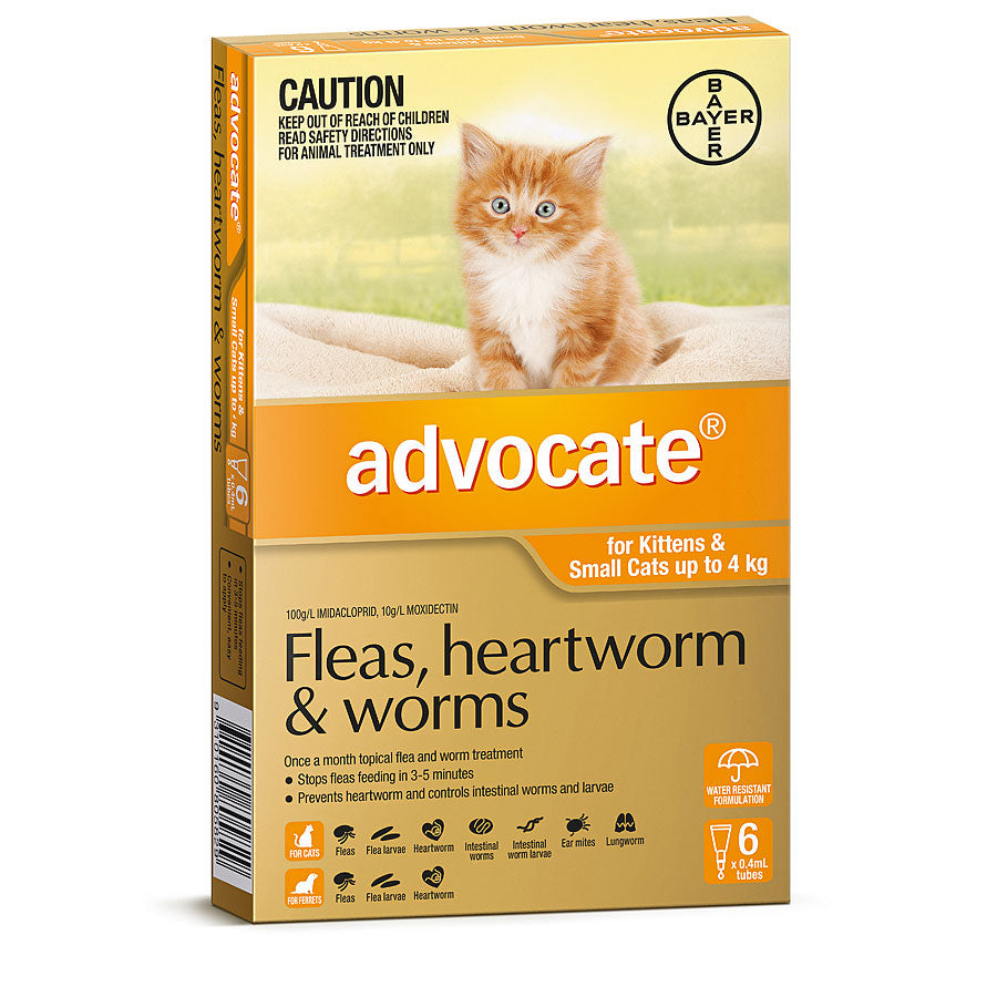 Advocate Cats Up to 4 kg Orange