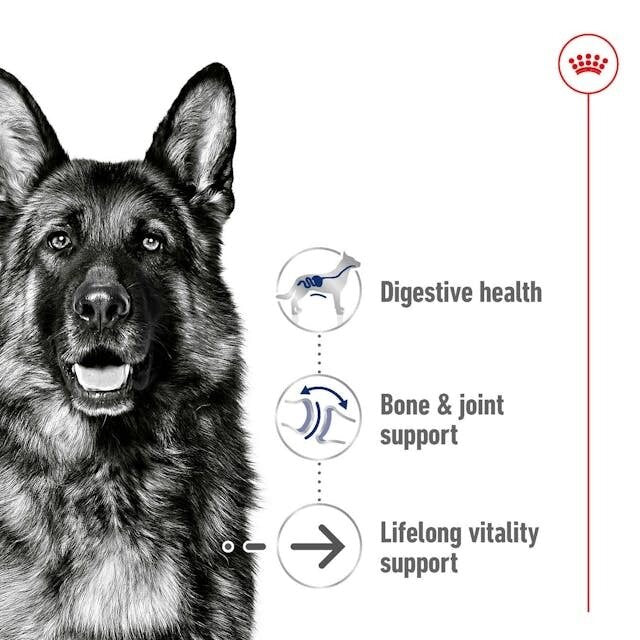 Royal Canin Dog Maxi Ageing 8+ 15kg