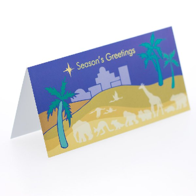 RSPCA Christmas Cards Bethlehem 10 Pack
