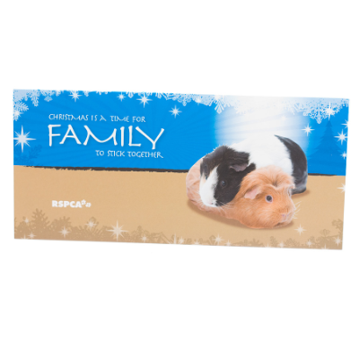 RSPCA Christmas Cards Family  10 Pack