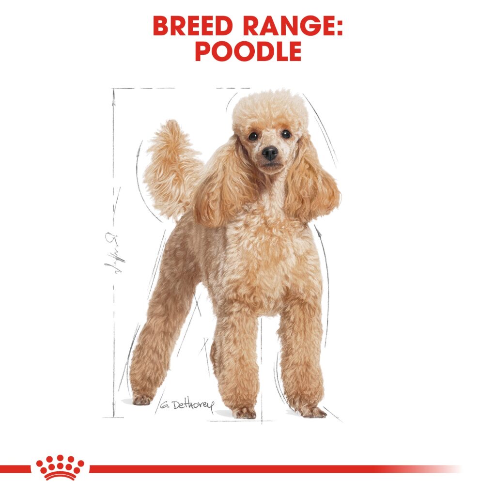 Royal Canin Dog Poodle 1.5kg