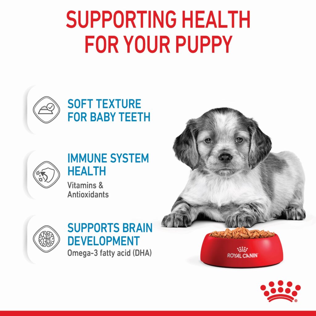 Royal Canin Medium Puppy Wet Food 140g