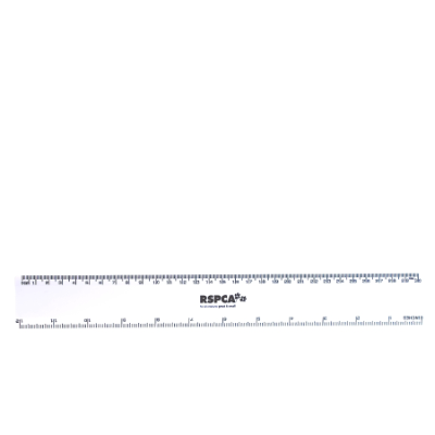 RSPCA Ruler All Creatures  L 30 cm x W 4 cm