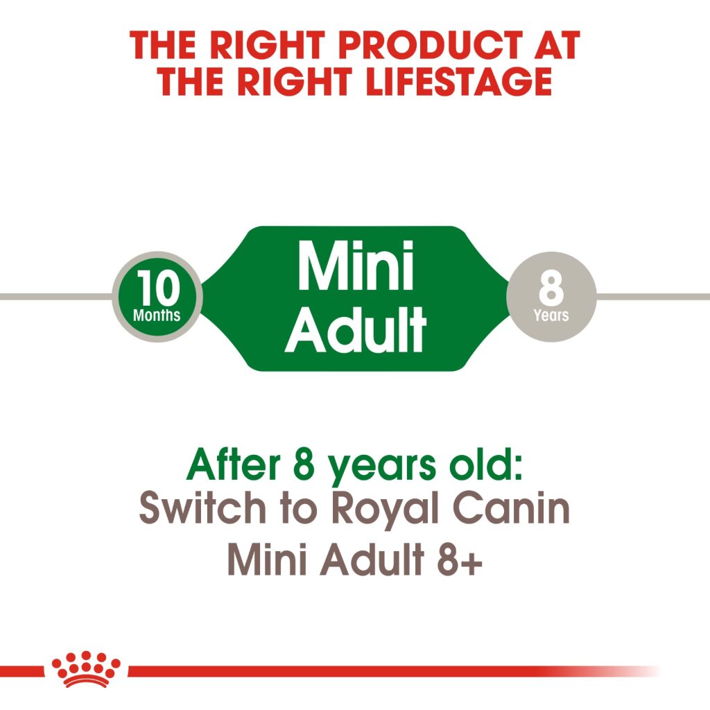Royal Canin Dog Mini Adult