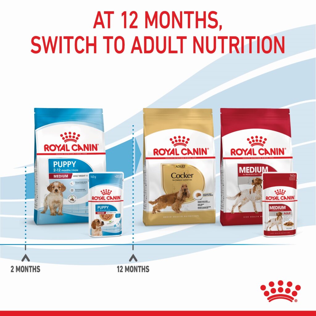 Royal Canin Medium Puppy Wet Food 140g