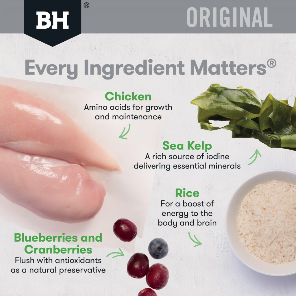 Black Hawk Dog Adult Chicken and Rice